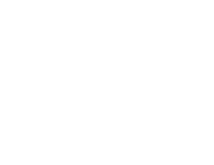 bg5-system